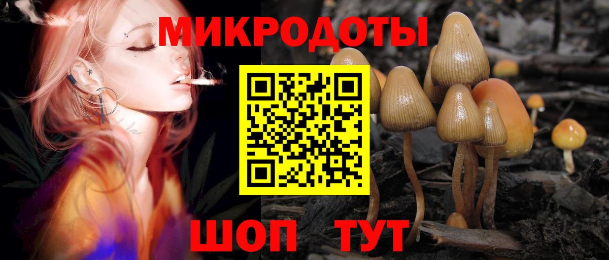 Елец  Псилоцибиновые грибы Cubensis  Вход с VPN 