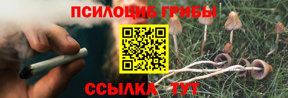 Галлюциногенные грибы Magic Shrooms Елец